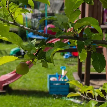 Dom W Krutyni Krutyń