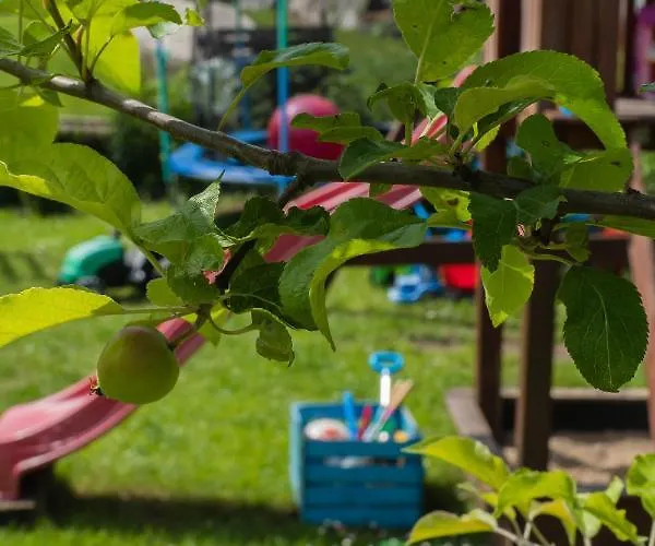 Dom W Krutyni Krutyn